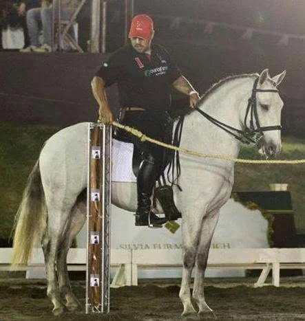 Apresentação
