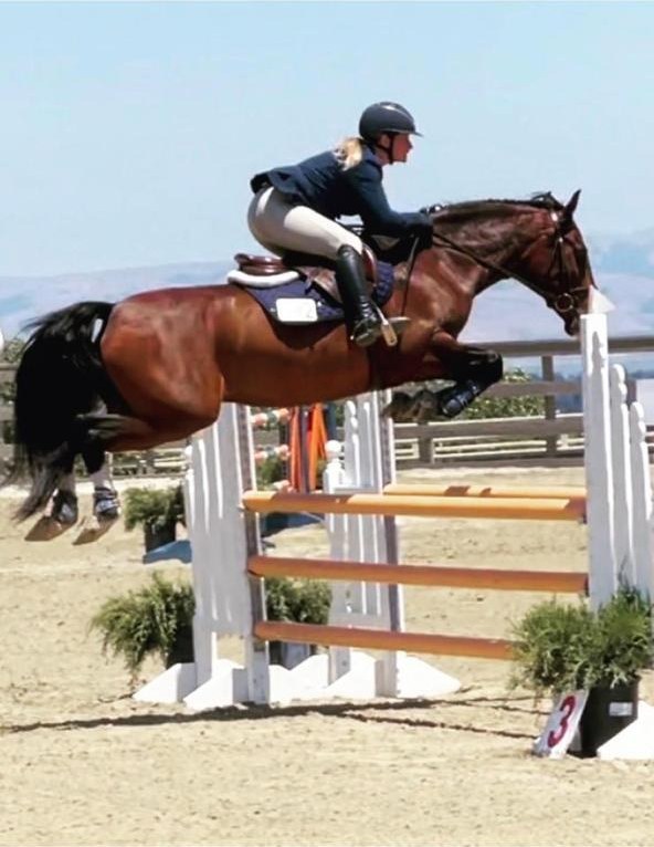 Cavalo treinado por Marquinho Vilela competindo em salto nos Estados Unidos