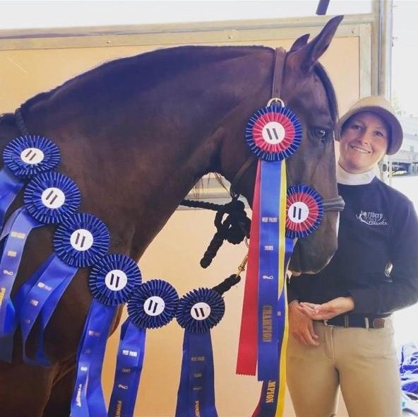 Cavalo campeão no The Horse Park at Woodside